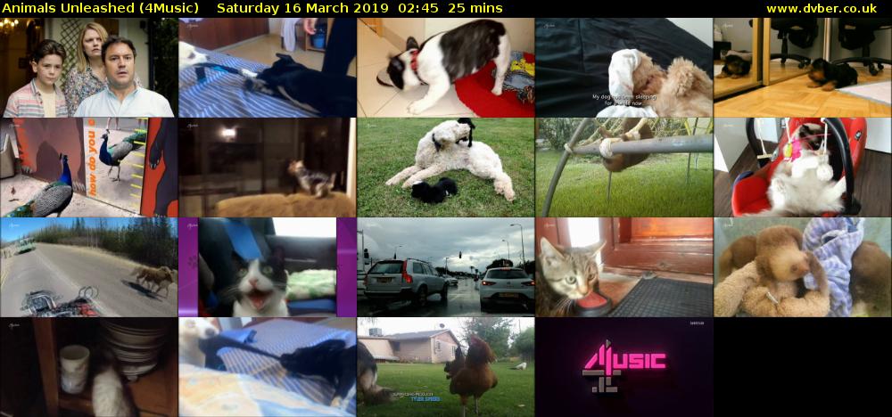 Animals Unleashed (4Music) Saturday 16 March 2019 02:45 - 03:10