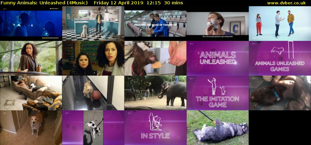 Funny Animals: Unleashed (4Music) Friday 12 April 2019 12:15 - 12:45