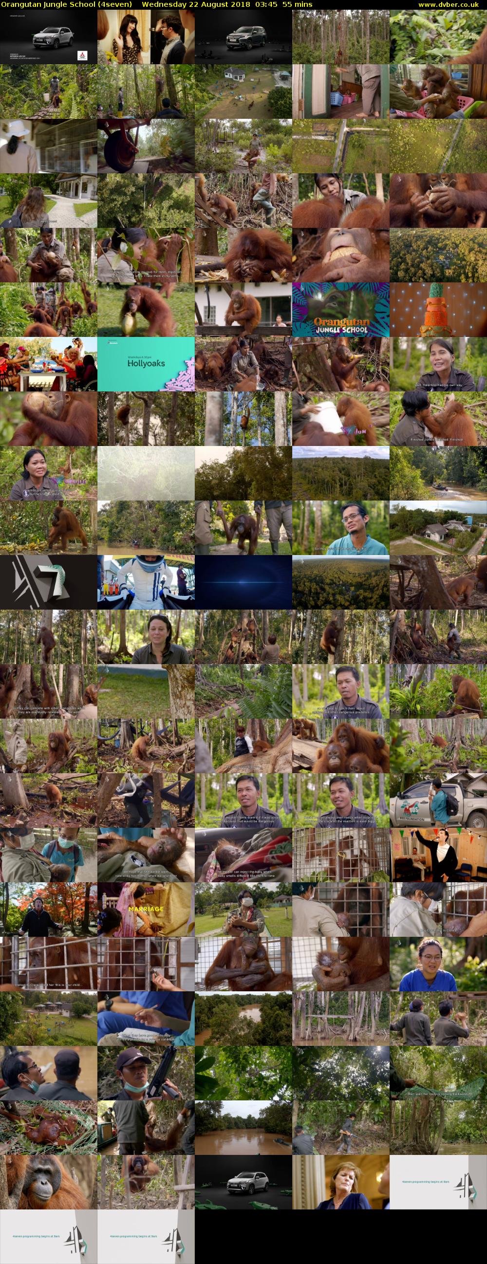 Orangutan Jungle School (4seven) Wednesday 22 August 2018 03:45 - 04:40