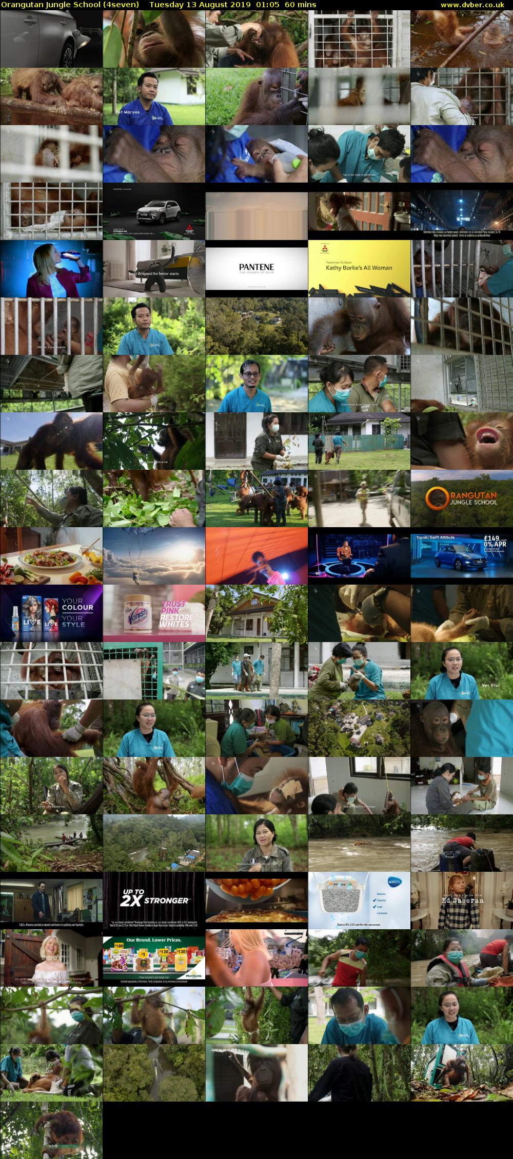 Orangutan Jungle School (4seven) Tuesday 13 August 2019 01:05 - 02:05