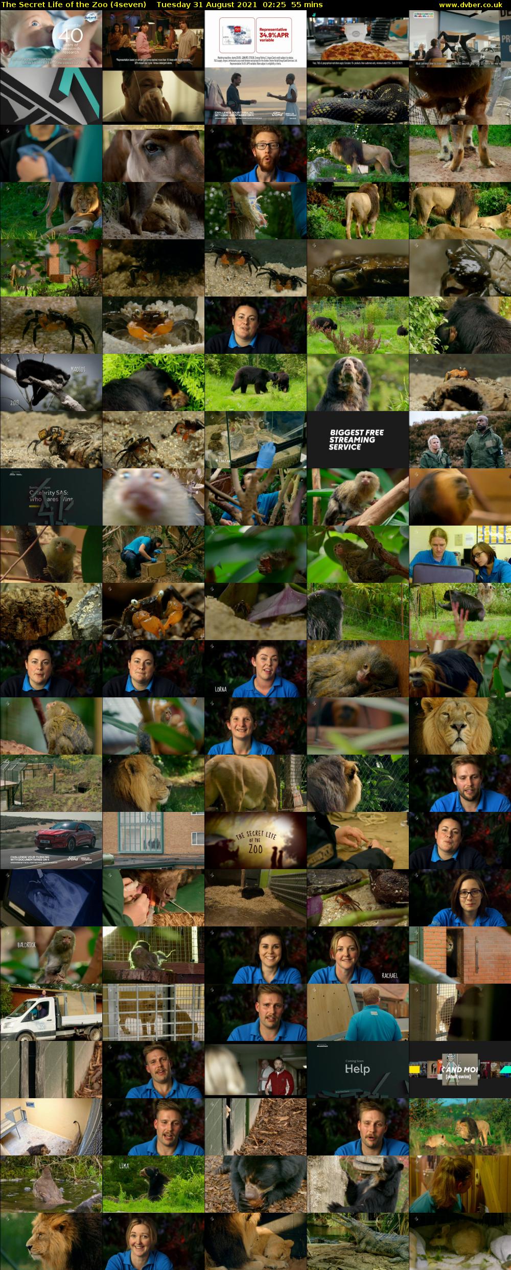 The Secret Life of the Zoo (4seven) Tuesday 31 August 2021 03:25 - 04:20
