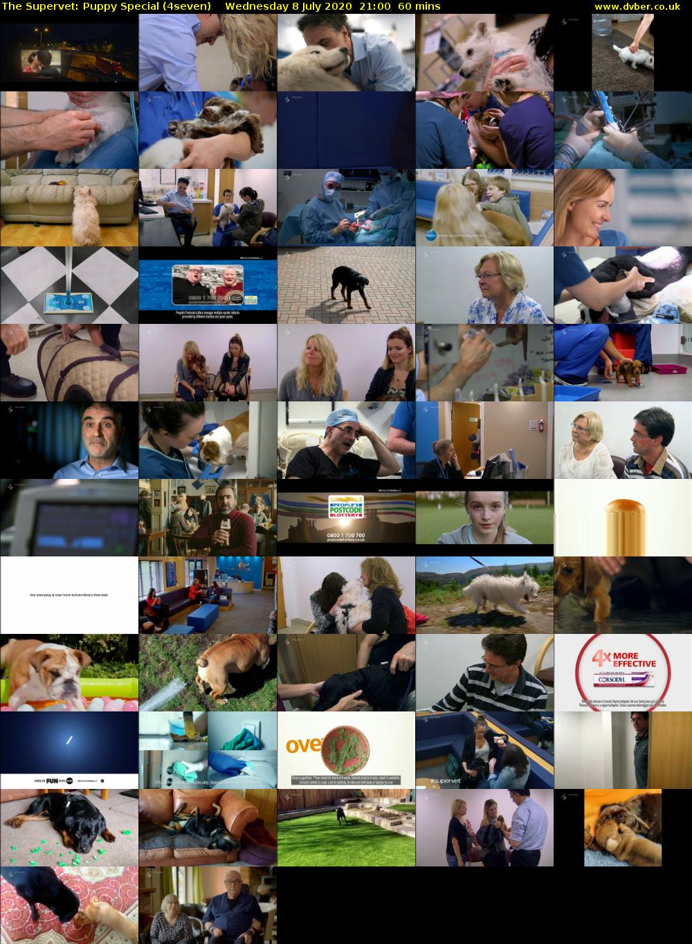 The Supervet: Puppy Special (4seven) Wednesday 8 July 2020 21:00 - 22:00