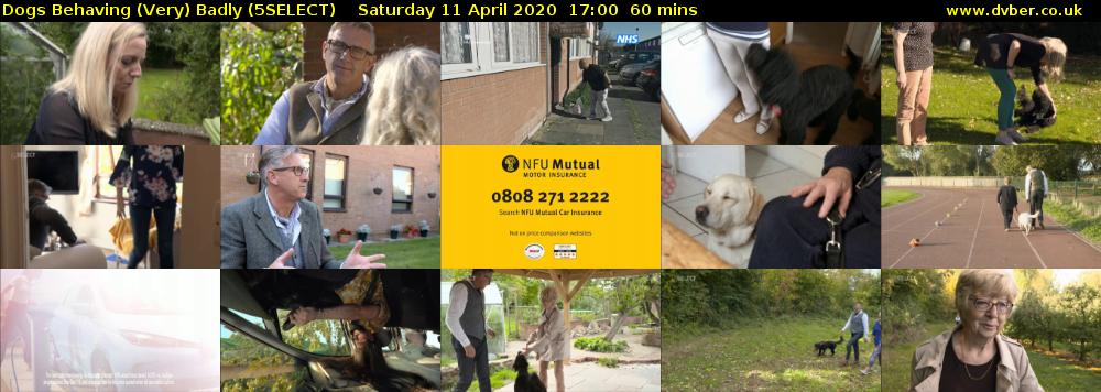 Dogs Behaving (Very) Badly (5SELECT) Saturday 11 April 2020 17:00 - 18:00