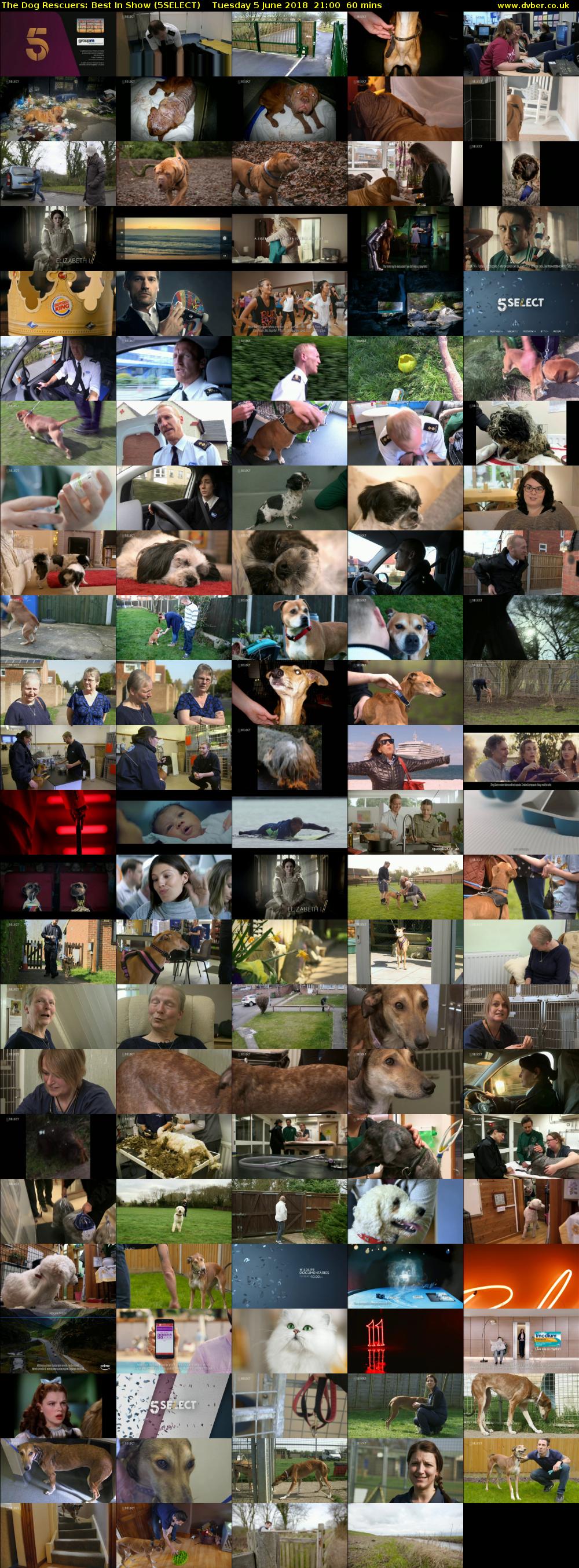 The Dog Rescuers: Best In Show (5SELECT) Tuesday 5 June 2018 21:00 - 22:00