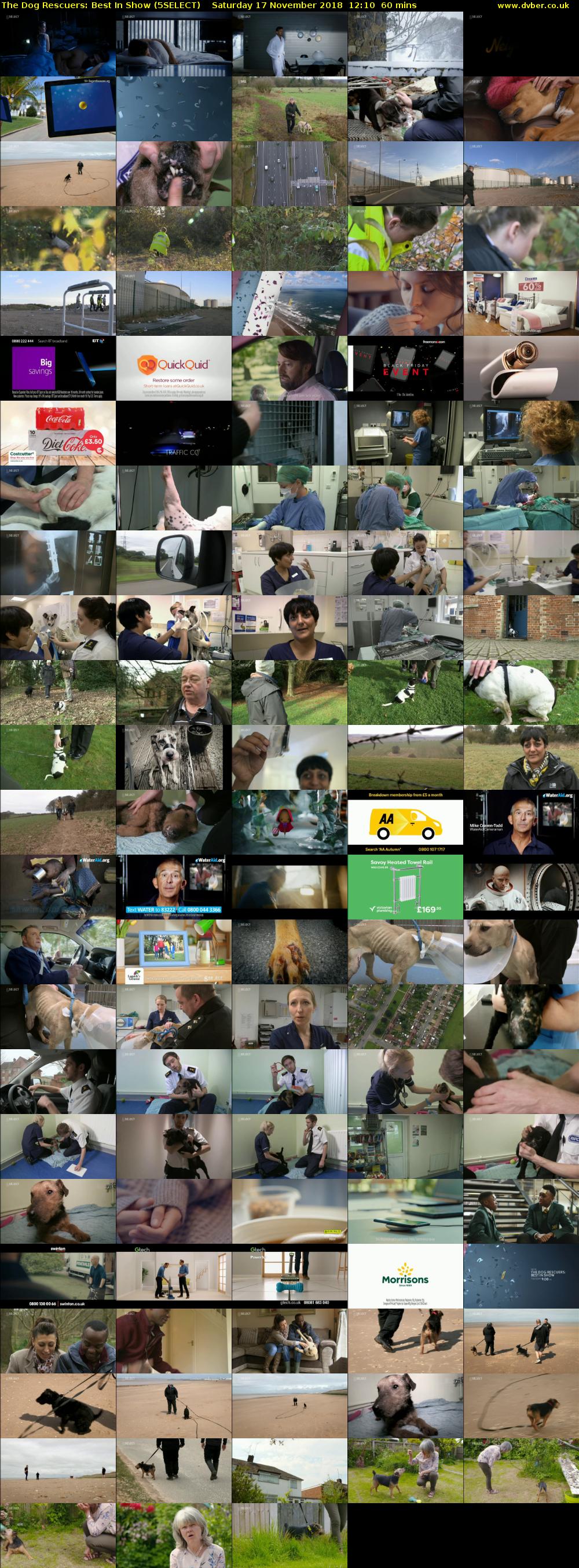 The Dog Rescuers: Best In Show (5SELECT) Saturday 17 November 2018 12:10 - 13:10