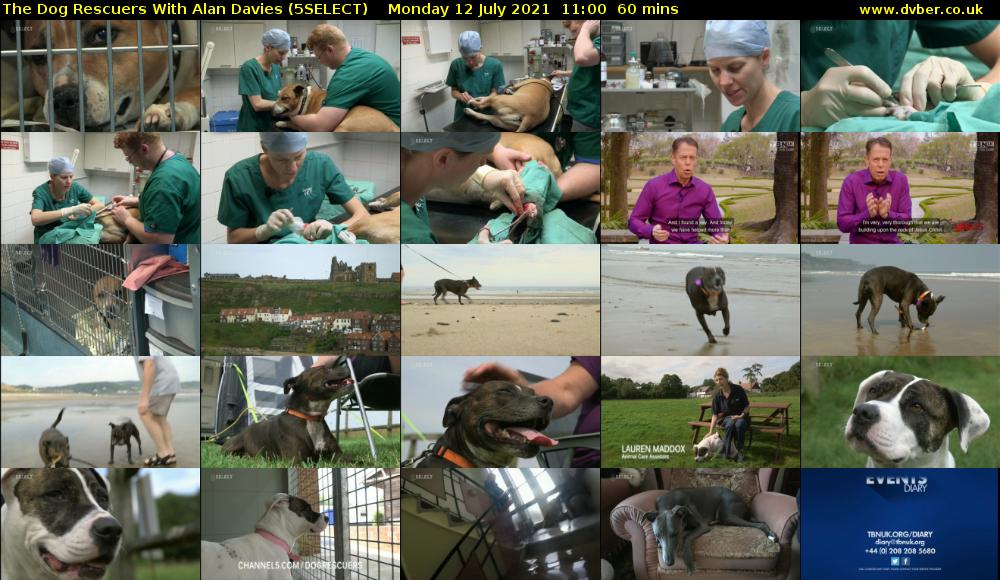 The Dog Rescuers With Alan Davies (5SELECT) Monday 12 July 2021 11:00 - 12:00