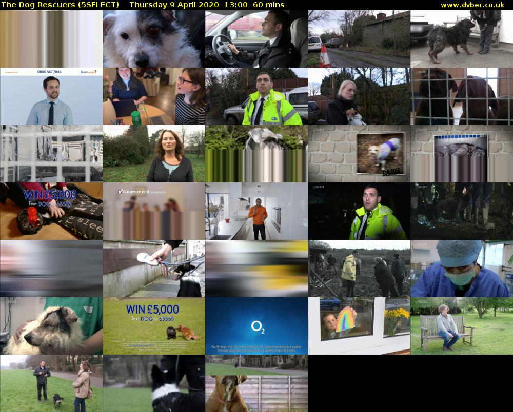 The Dog Rescuers (5SELECT) Thursday 9 April 2020 13:00 - 14:00