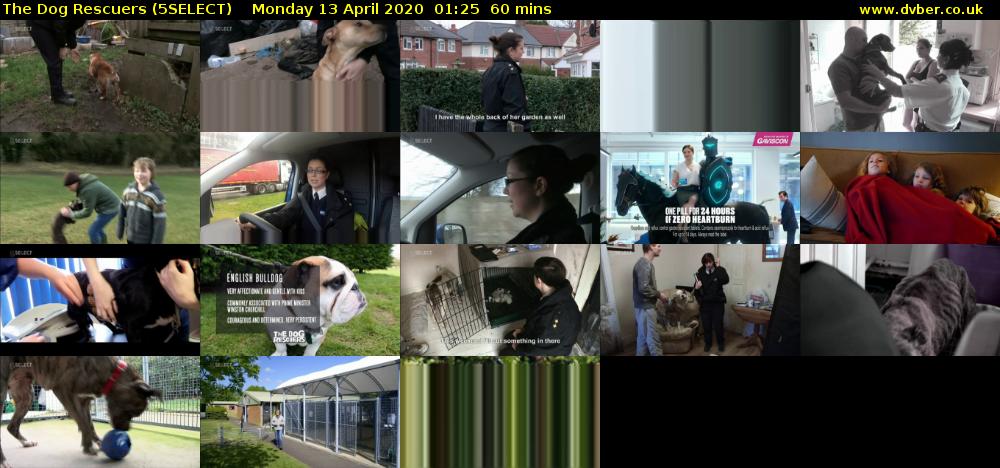 The Dog Rescuers (5SELECT) Monday 13 April 2020 01:25 - 02:25