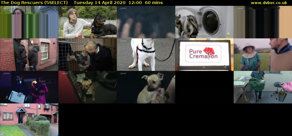 The Dog Rescuers (5SELECT) Tuesday 14 April 2020 12:00 - 13:00