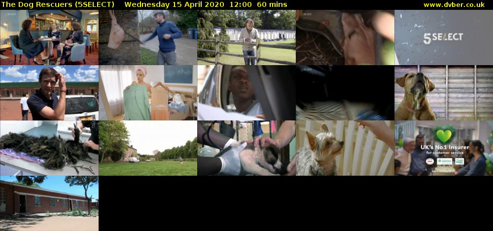 The Dog Rescuers (5SELECT) Wednesday 15 April 2020 12:00 - 13:00