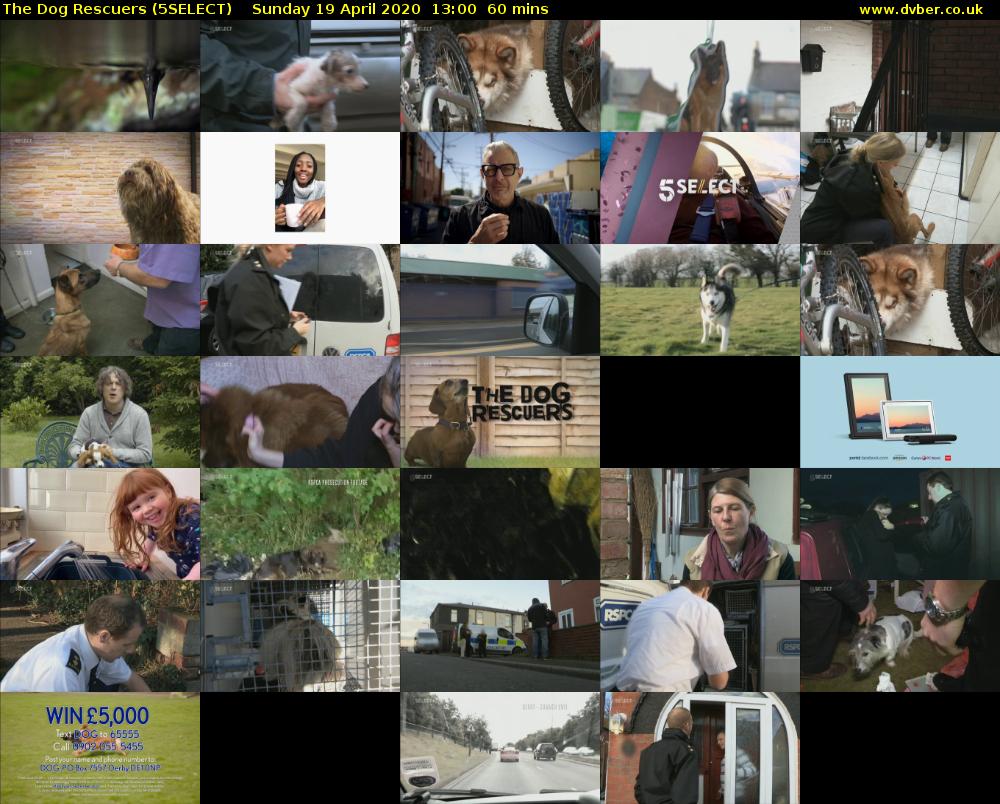 The Dog Rescuers (5SELECT) Sunday 19 April 2020 13:00 - 14:00