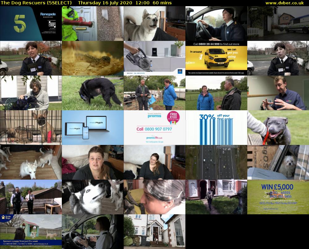 The Dog Rescuers (5SELECT) Thursday 16 July 2020 12:00 - 13:00