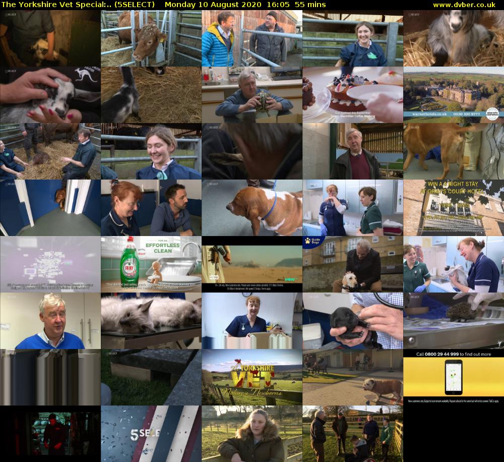 The Yorkshire Vet Special:.. (5SELECT) Monday 10 August 2020 16:05 - 17:00