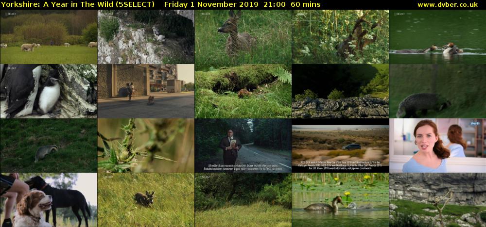 Yorkshire: A Year in The Wild (5SELECT) Friday 1 November 2019 21:00 - 22:00