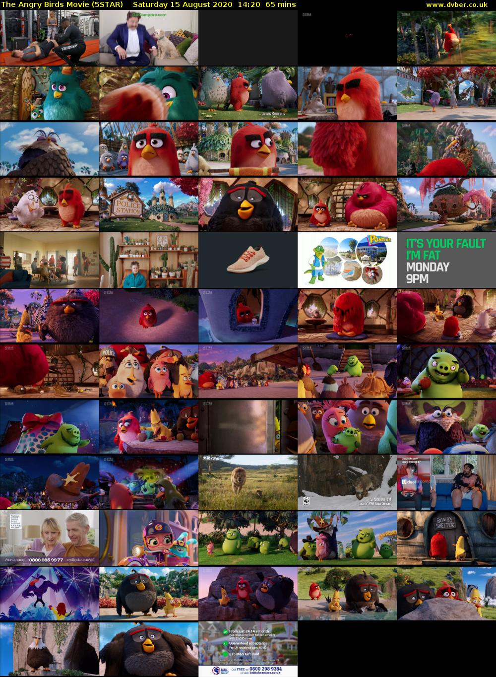 The Angry Birds Movie (5STAR) Saturday 15 August 2020 14:20 - 15:25