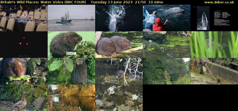 Britain's Wild Places: Water Voles (BBC FOUR) Tuesday 13 June 2023 21:50 - 22:00