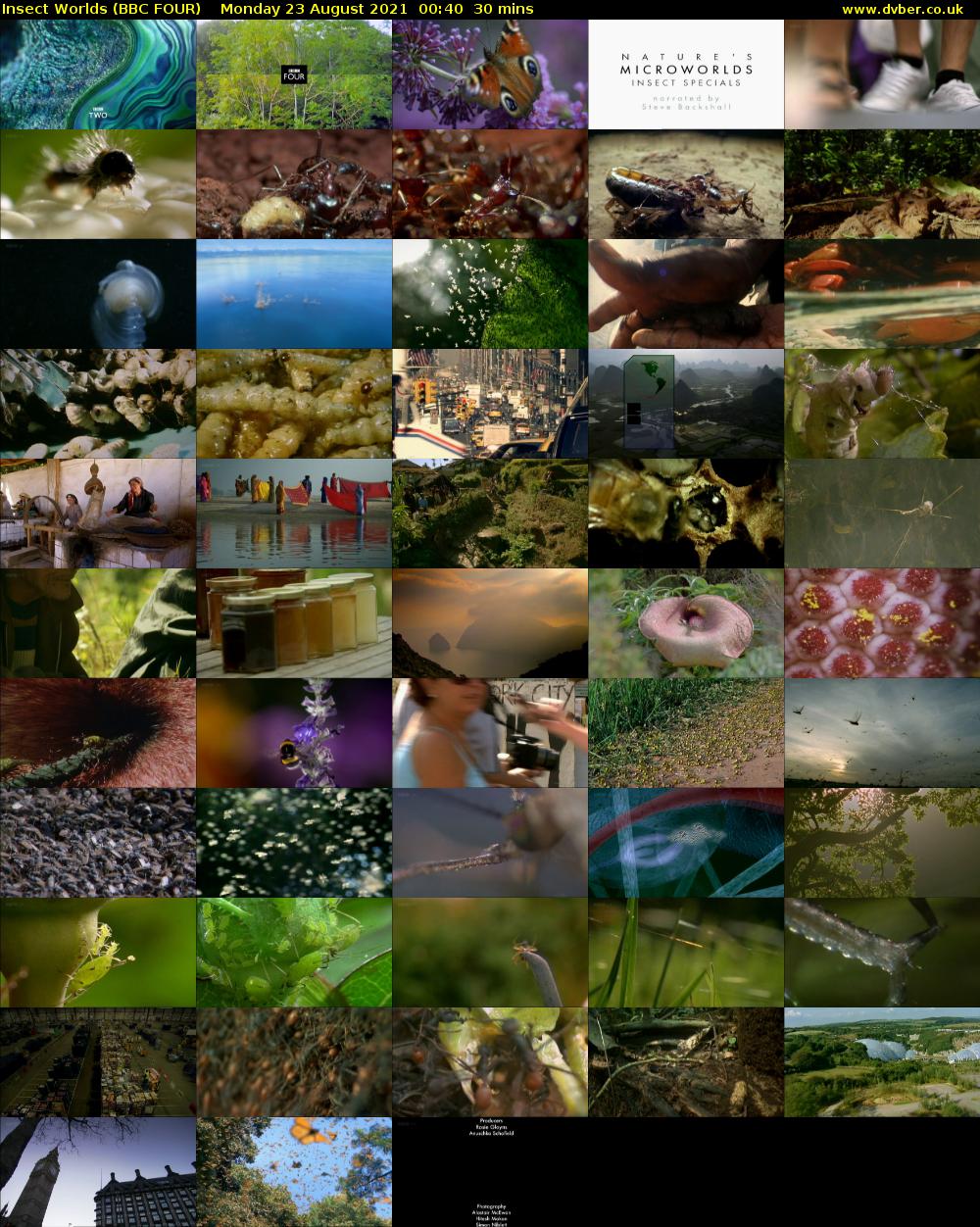 Insect Worlds (BBC FOUR) Monday 23 August 2021 00:40 - 01:10