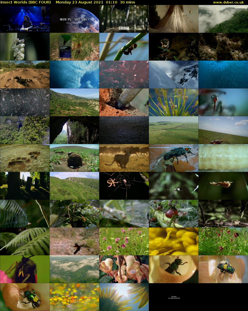 Insect Worlds (BBC FOUR) Monday 23 August 2021 01:10 - 01:40