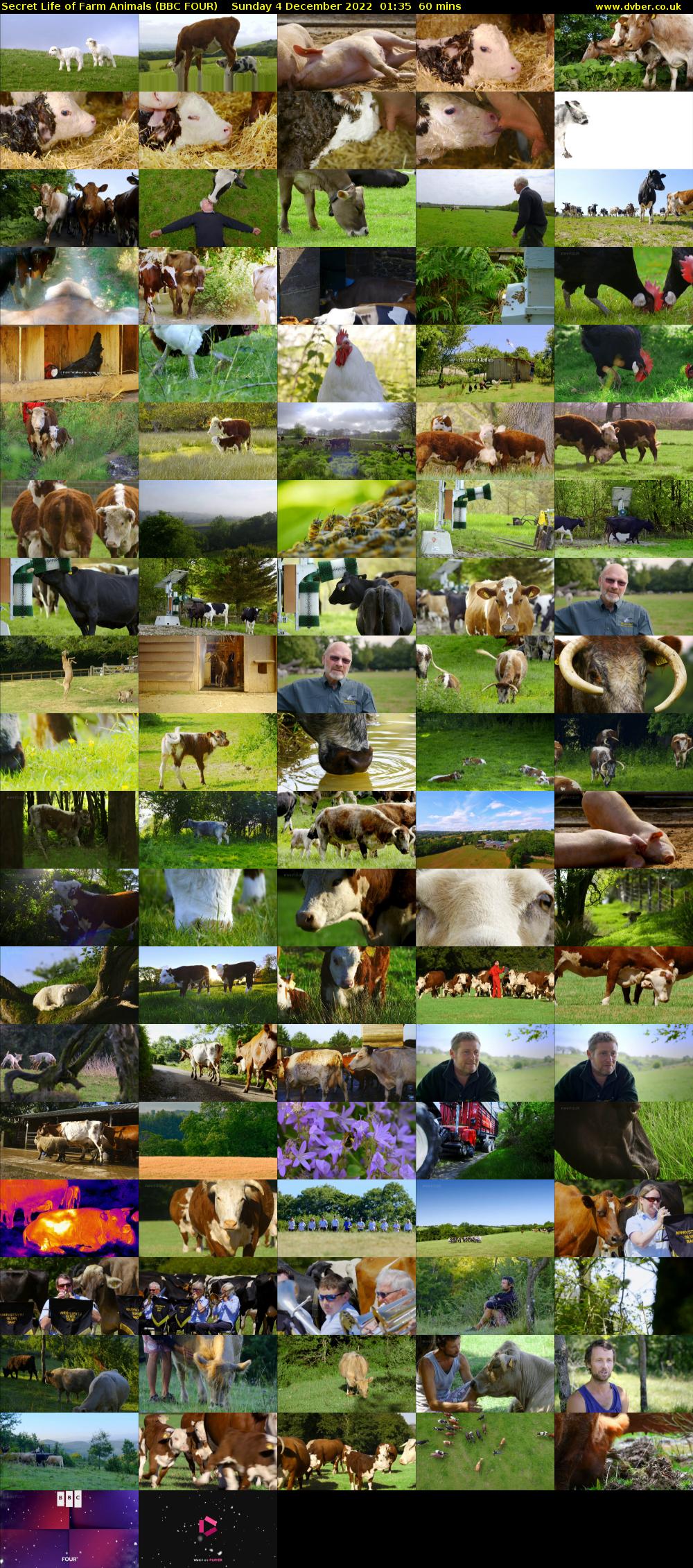 Secret Life of Farm Animals (BBC FOUR) Sunday 4 December 2022 01:35 - 02:35