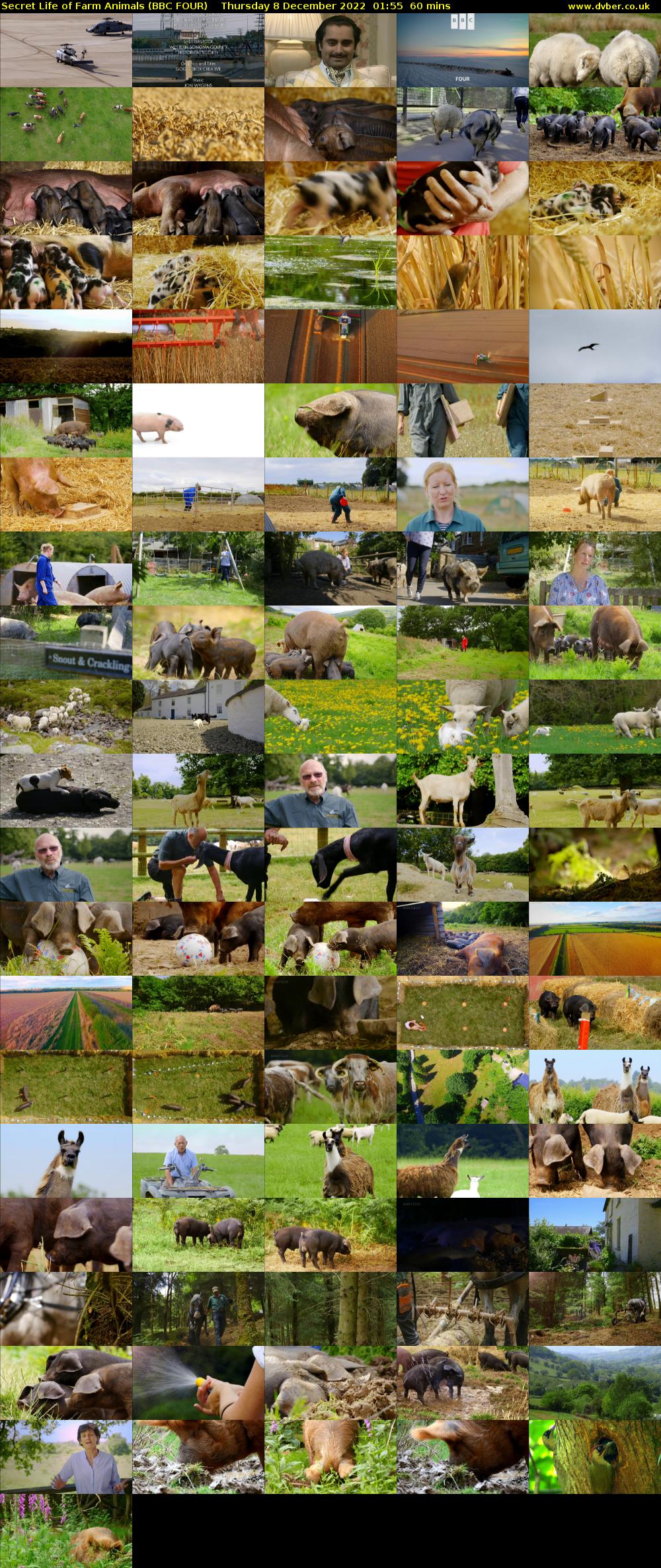 Secret Life of Farm Animals (BBC FOUR) Thursday 8 December 2022 01:55 - 02:55