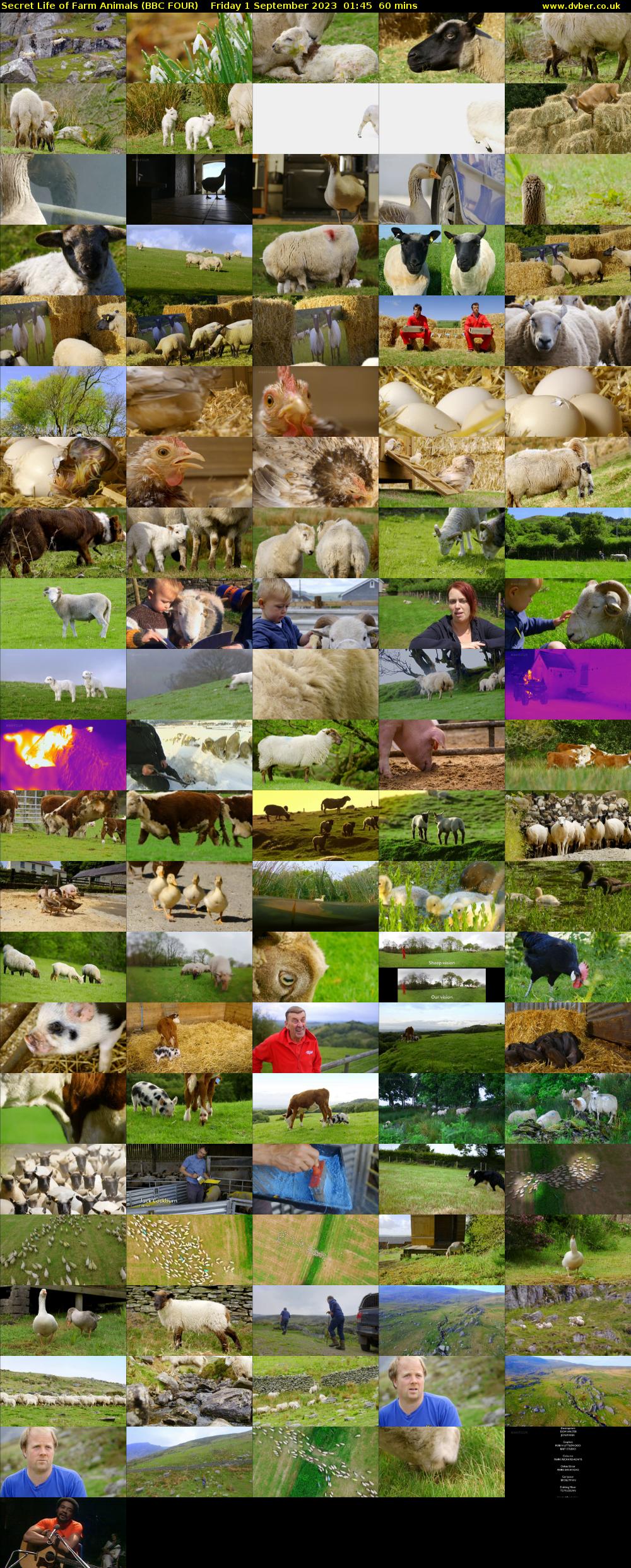 Secret Life of Farm Animals (BBC FOUR) Friday 1 September 2023 01:45 - 02:45