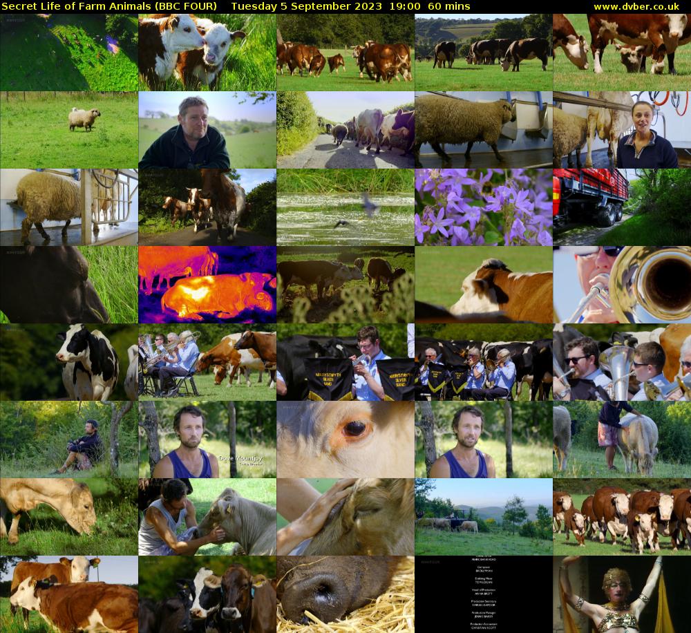 Secret Life of Farm Animals (BBC FOUR) Tuesday 5 September 2023 19:00 - 20:00