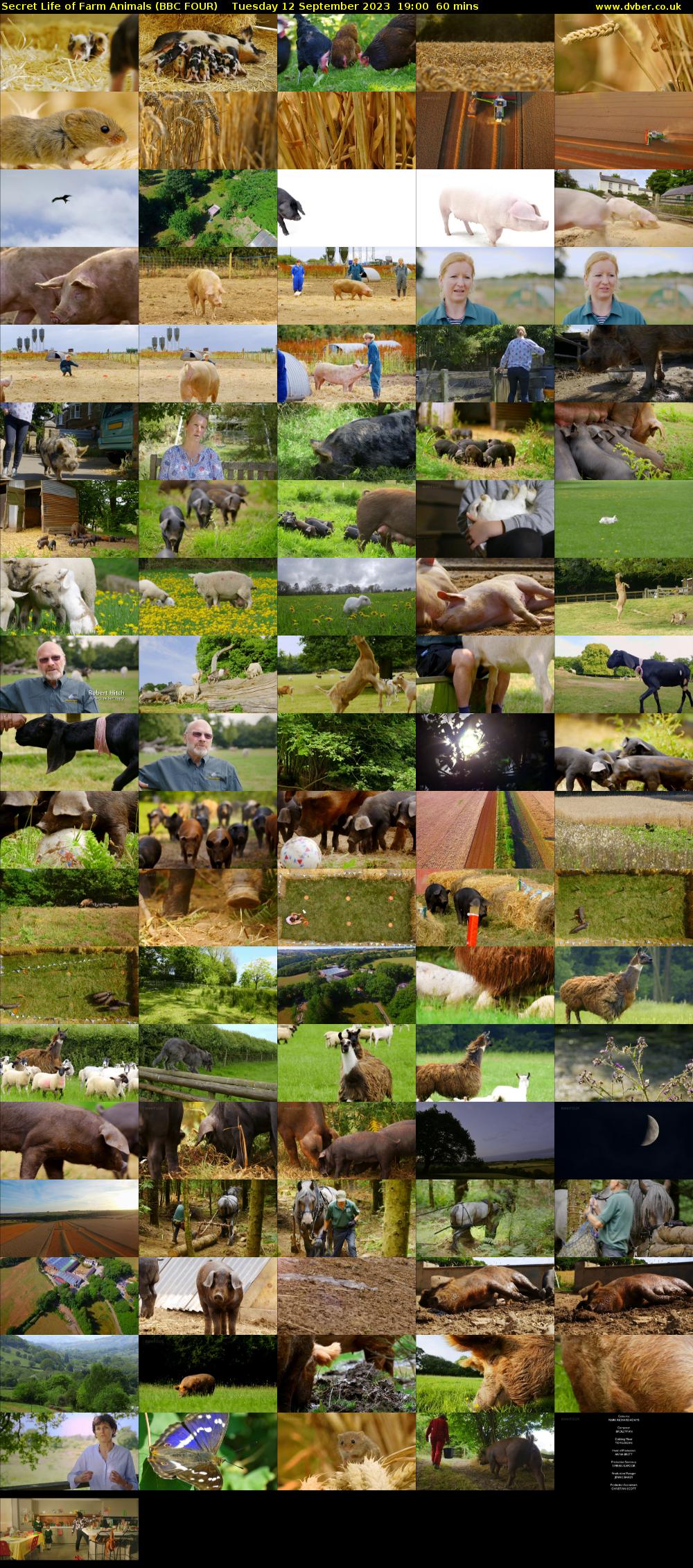 Secret Life of Farm Animals (BBC FOUR) Tuesday 12 September 2023 19:00 - 20:00