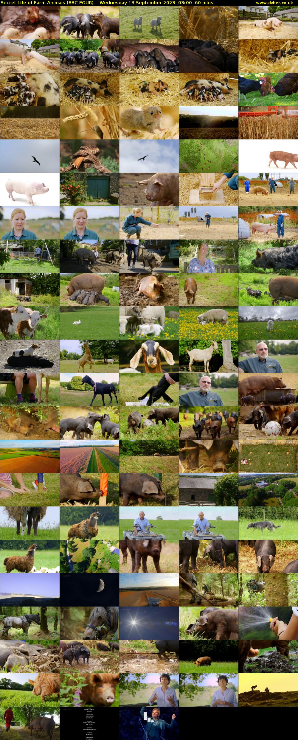 Secret Life of Farm Animals (BBC FOUR) Wednesday 13 September 2023 03:00 - 04:00