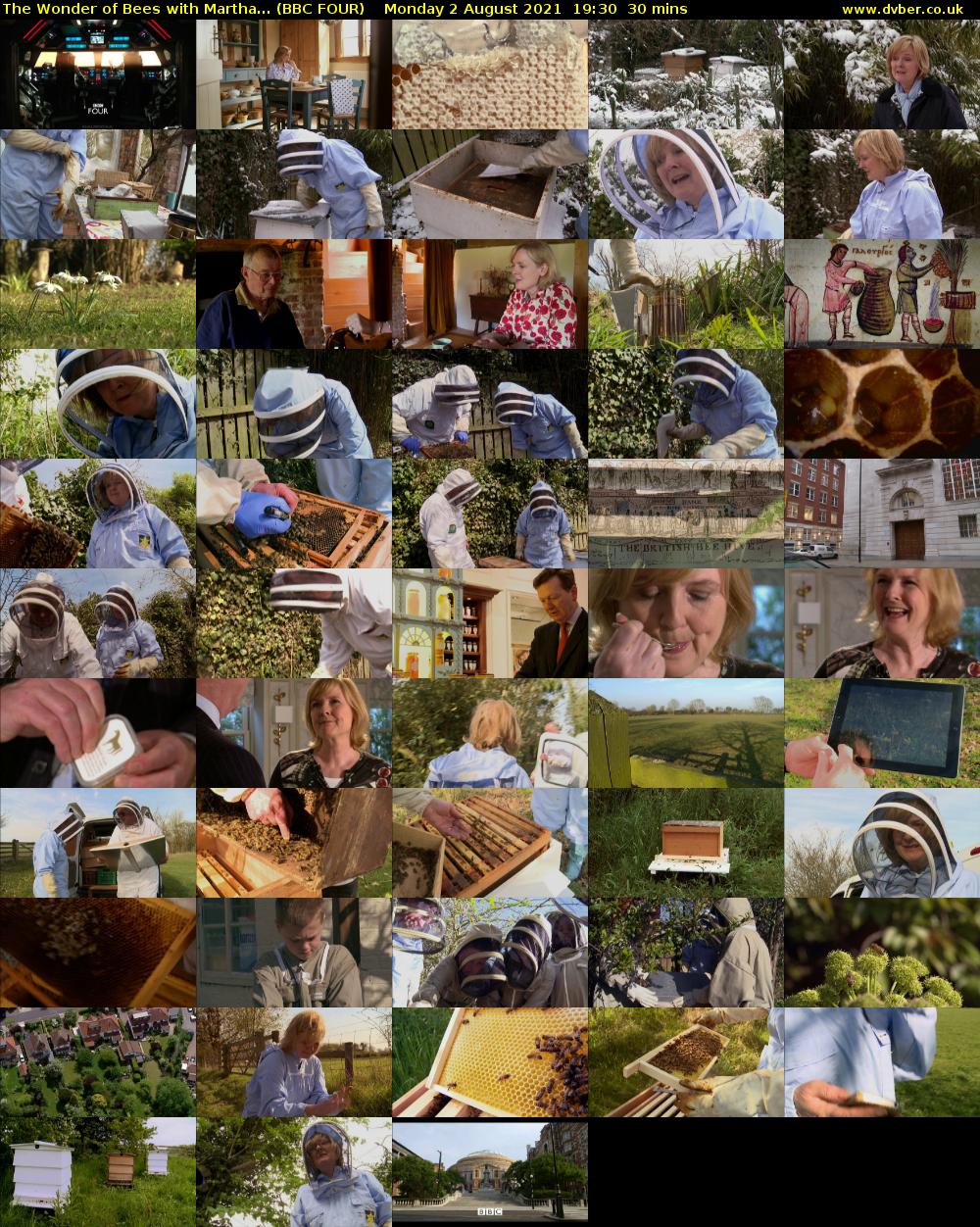 The Wonder of Bees with Martha... (BBC FOUR) Monday 2 August 2021 19:30 - 20:00