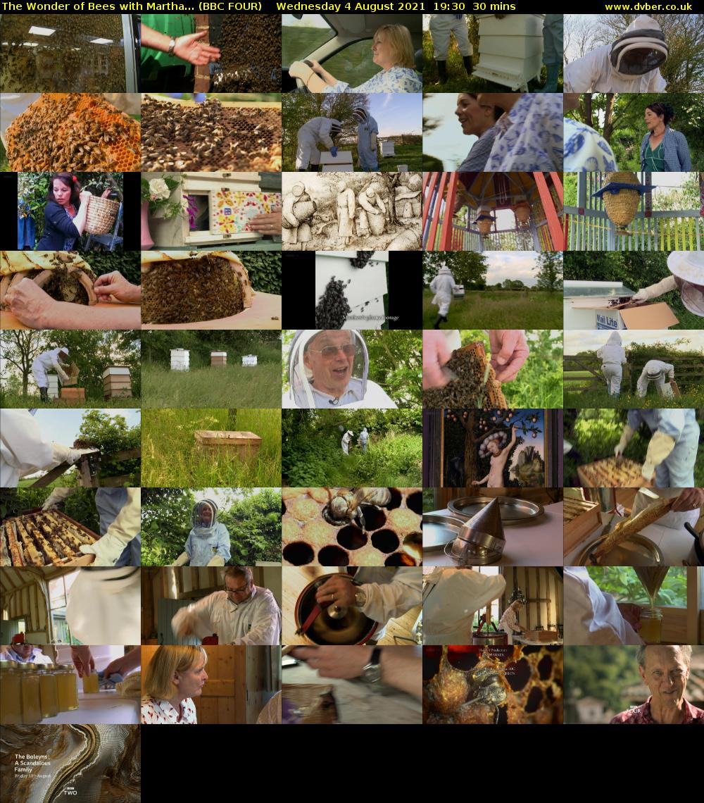 The Wonder of Bees with Martha... (BBC FOUR) Wednesday 4 August 2021 19:30 - 20:00