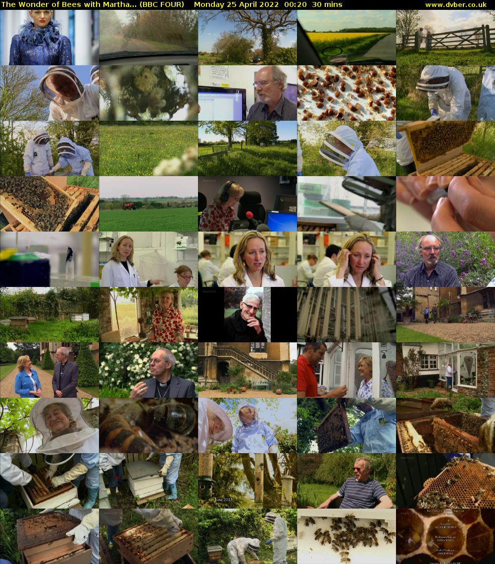 The Wonder of Bees with Martha... (BBC FOUR) Monday 25 April 2022 00:20 - 00:50