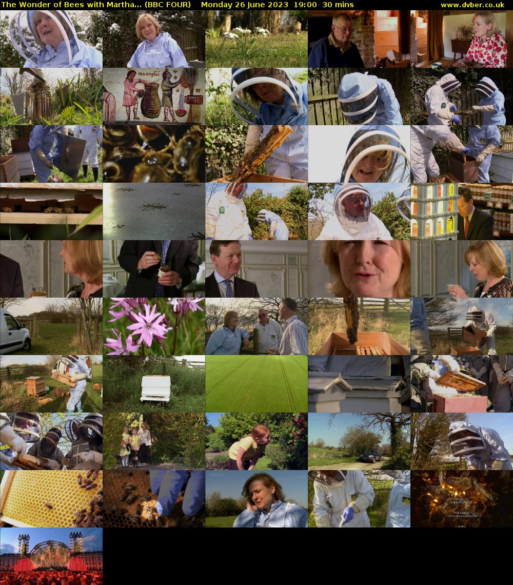 The Wonder of Bees with Martha... (BBC FOUR) Monday 26 June 2023 19:00 - 19:30