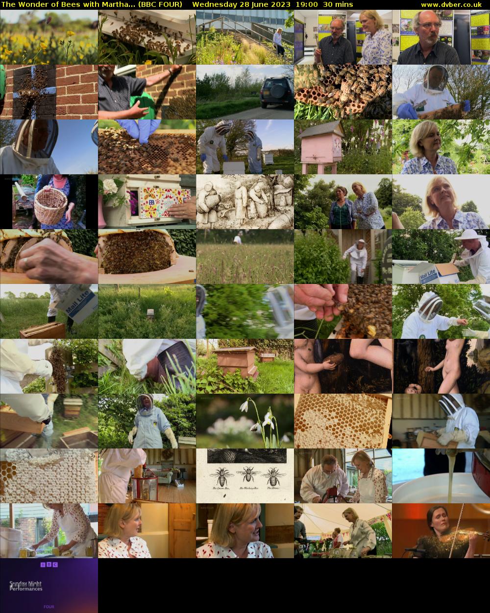 The Wonder of Bees with Martha... (BBC FOUR) Wednesday 28 June 2023 19:00 - 19:30