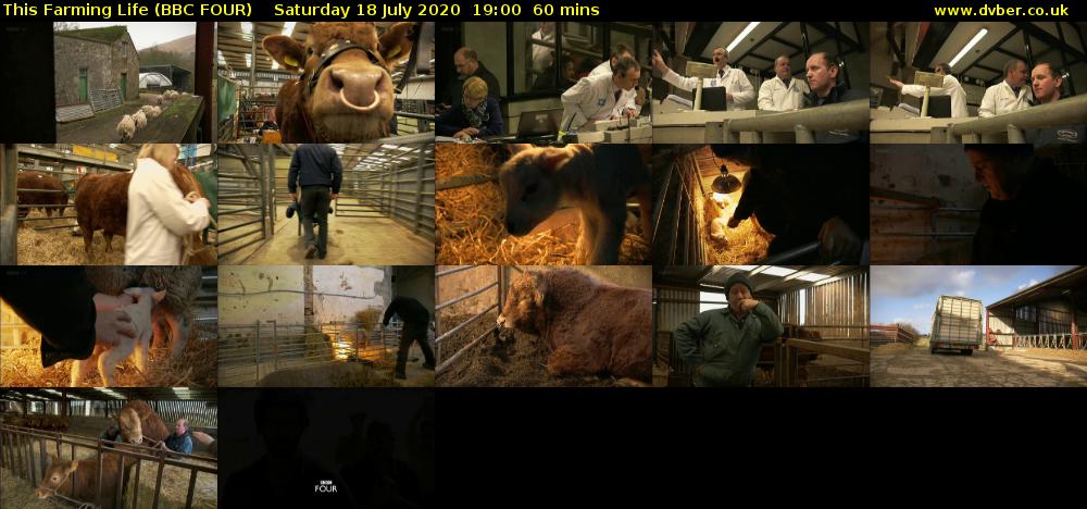 This Farming Life (BBC FOUR) Saturday 18 July 2020 19:00 - 20:00