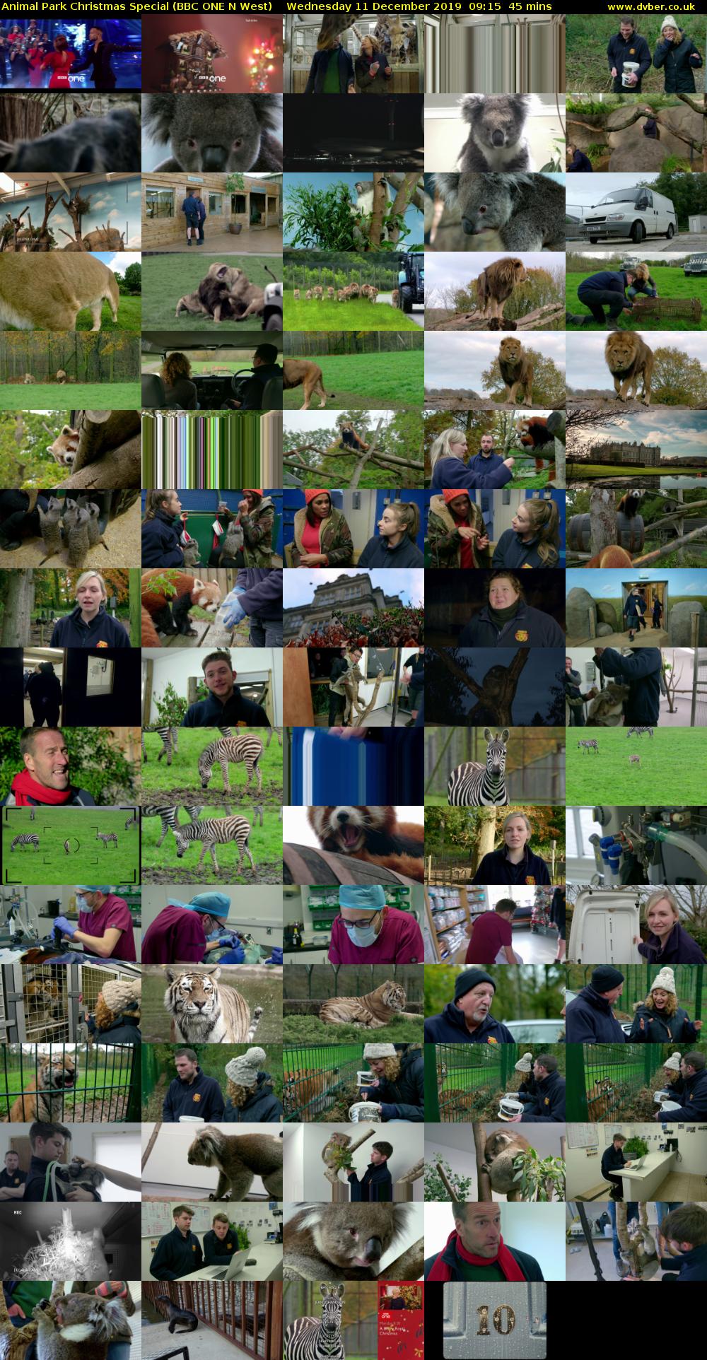 Animal Park Christmas Special (BBC ONE) 201912110915