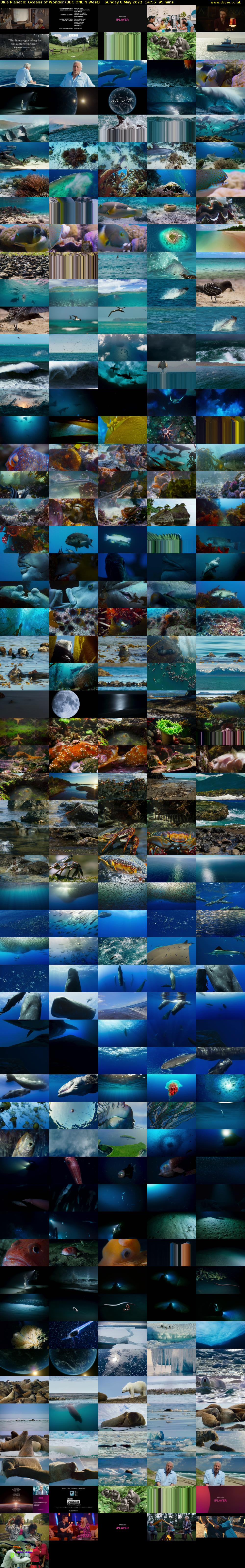 Blue Planet II: Oceans of Wonder (BBC ONE N West) Sunday 8 May 2022 14:55 - 16:30