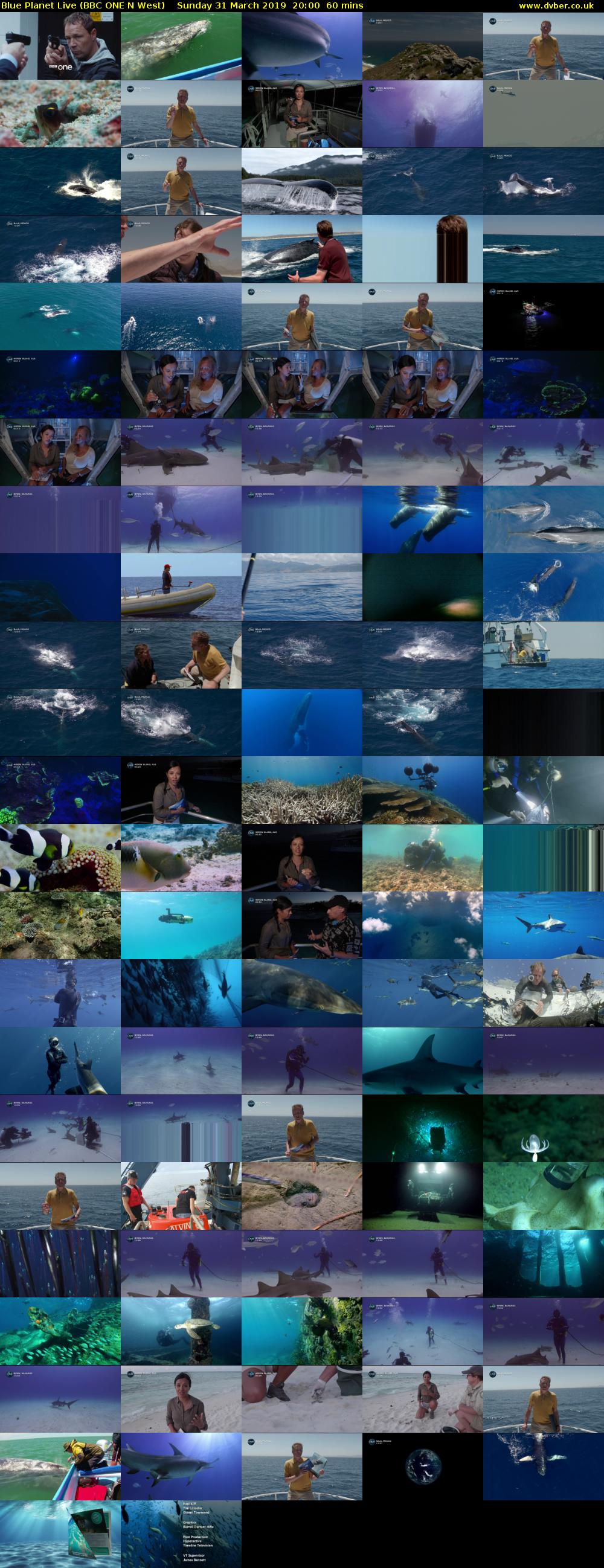 Blue Planet Live (BBC ONE N West) Sunday 31 March 2019 20:00 - 21:00