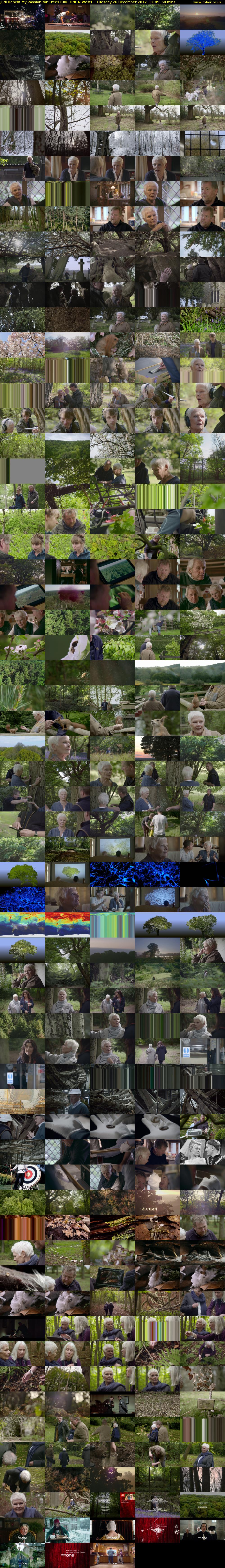 Judi Dench: My Passion for Trees (BBC ONE N West) Tuesday 26 December 2017 12:45 - 13:45