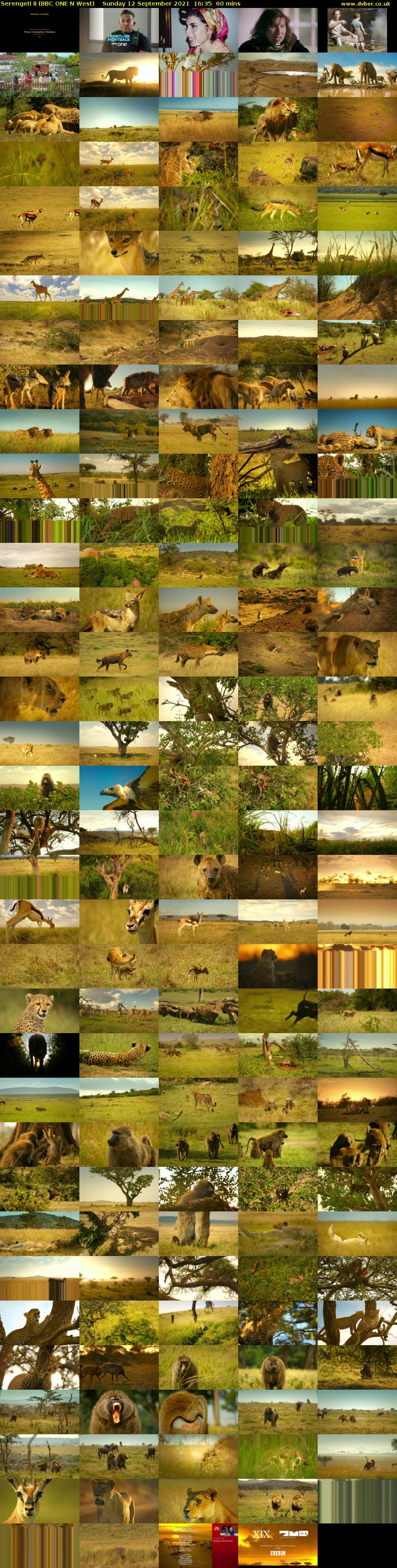 Serengeti II (BBC ONE N West) Sunday 12 September 2021 16:35 - 17:35