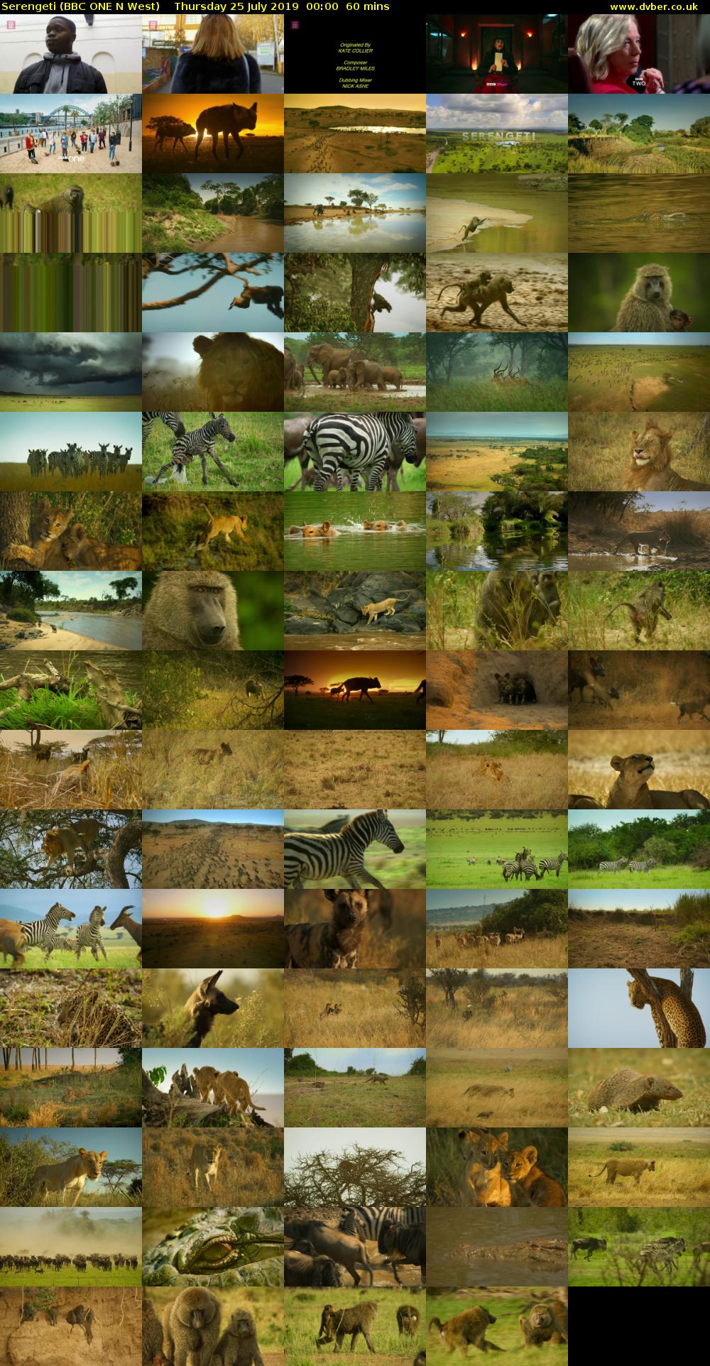 Serengeti (BBC ONE N West) Thursday 25 July 2019 00:00 - 01:00