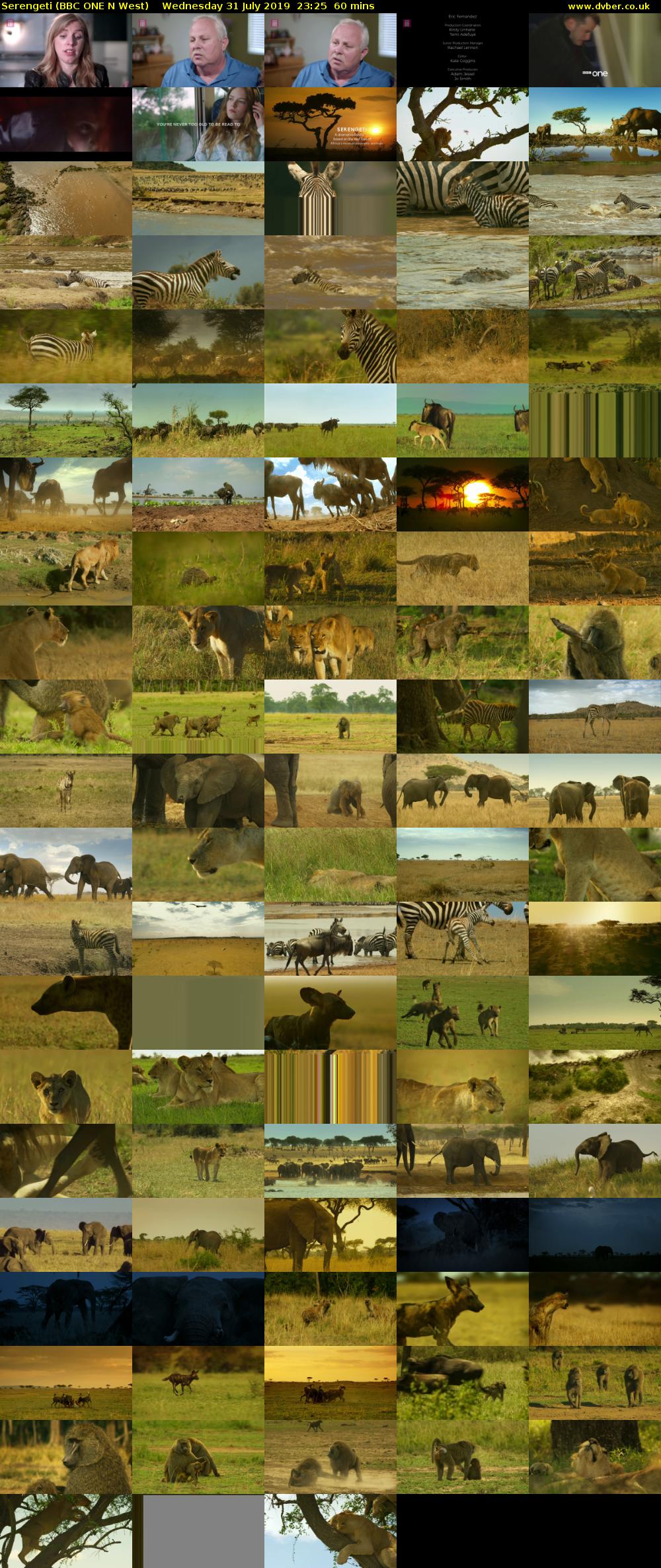 Serengeti (BBC ONE N West) Wednesday 31 July 2019 23:25 - 00:25