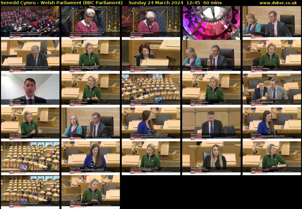 Senedd Cymru - Welsh Parliament (BBC Parliament) Sunday 24 March 2024 12:45 - 13:45