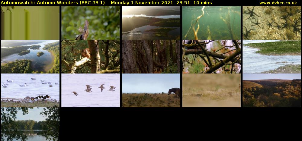 Autumnwatch: Autumn Wonders (BBC RB 1) Monday 1 November 2021 23:51 - 00:01