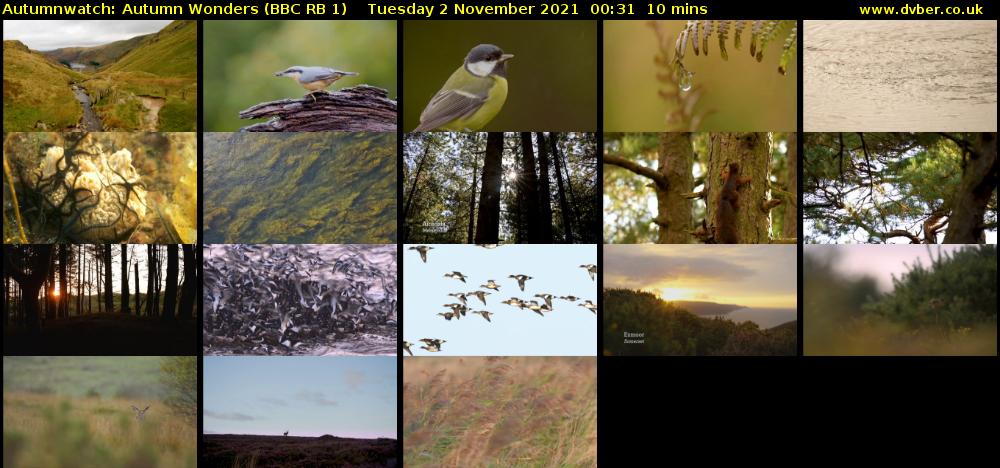 Autumnwatch: Autumn Wonders (BBC RB 1) Tuesday 2 November 2021 00:31 - 00:41
