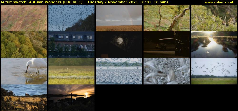 Autumnwatch: Autumn Wonders (BBC RB 1) Tuesday 2 November 2021 01:01 - 01:11