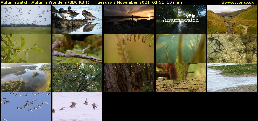Autumnwatch: Autumn Wonders (BBC RB 1) Tuesday 2 November 2021 02:51 - 03:01