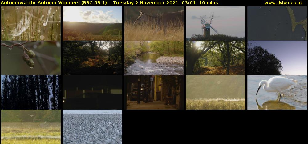 Autumnwatch: Autumn Wonders (BBC RB 1) Tuesday 2 November 2021 03:01 - 03:11