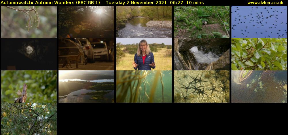 Autumnwatch: Autumn Wonders (BBC RB 1) Tuesday 2 November 2021 06:27 - 06:37
