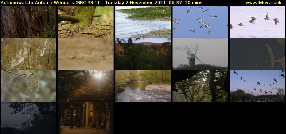 Autumnwatch: Autumn Wonders (BBC RB 1) Tuesday 2 November 2021 06:37 - 06:47