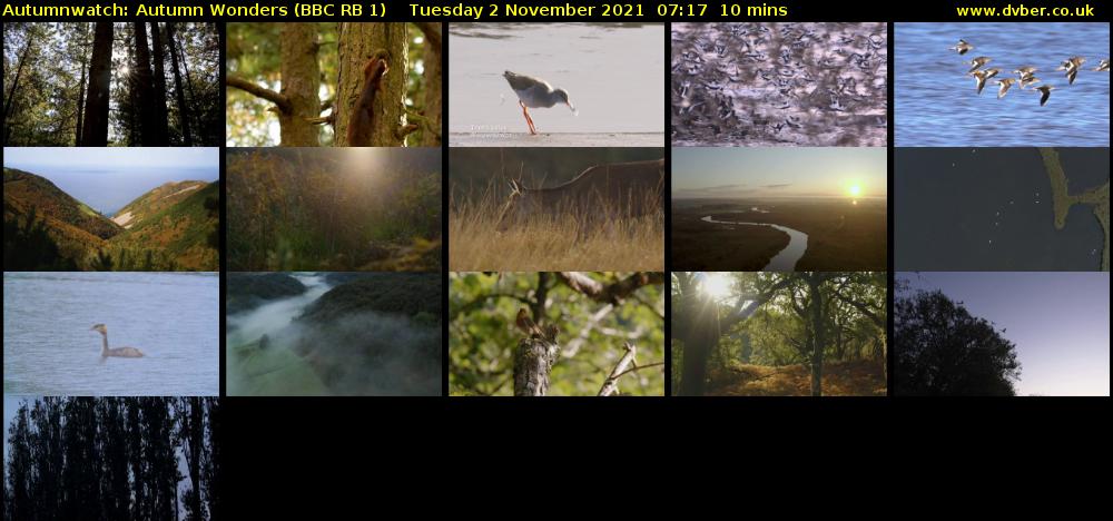 Autumnwatch: Autumn Wonders (BBC RB 1) Tuesday 2 November 2021 07:17 - 07:27